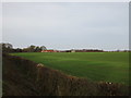 Trimmed hedge and Barff House