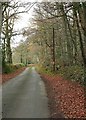 Lane near Exeter Lodge