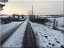 H4276 : Snow along Rash Road by Kenneth  Allen