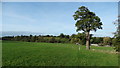 Field path leading down to Norton Forge, near Norton in Hales