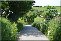 SX4249 : Cornish lane by N Chadwick