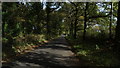 Tyrley Rd leading towards Tyrley Wharf near Market Drayton