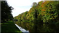 Trent & Mersey Canal at Bridge 200, Barnton