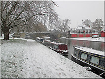 TL4559 : A snowy morning by the Cam by John Sutton