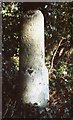 Old Milestone on Henley Road, Burchett