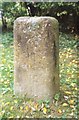 Old Milestone in Compton Beauchamp