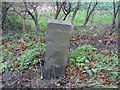 Old Milestone by the A417 in East Hendred