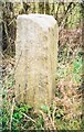 Old Milestone by the A4129 in Kingsey