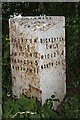 Old Milepost by the A534, Salter