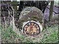 Old Milestone by the A7, north of Longtown