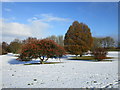 Snow on Foxhills Sports Field