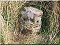 Old Milestone by the A6, north of Plumpton