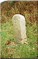 Old Milestone by the A30