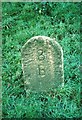 Old Milestone by the B3268 near Maudlin Lodge