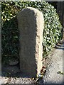 Old Milestone by the A389, south of Dunmere Bridge