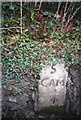 Old Milestone by the A39, Pengenna Wood