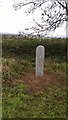 Modern Milestone by the A388, south of Westcott Lodge