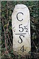 Old Milestone by the A388, north of Hatt