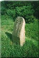 Old Milestone by the A390, West of St Ann