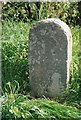 Old Milestone by the A388, south of Penscombe Farm