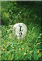 Old Milestone by the B3254, north east of Lower Treneath