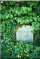 Old Milestone by the B3254 opposite Roscraddoc