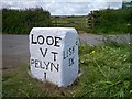 SX1956 : Old Milestone by the B3359, north east of Tremaine Farm by Ian Thompson