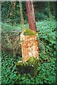 Old Milestone by Eathorne Bridge