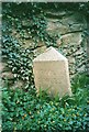 Old Milestone by Woodland Cottage, south of Portreath