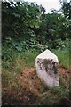 Old Milestone by the B3300, north of Redruth