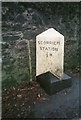 Old Milestone by the B3298, south east of Scorrier