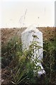 Old Milestone by the B3284, south of Higher Golla