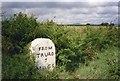 Old Milestone by the A390 crossroads, west of Grampound