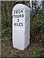 Old Milestone by Old Truro Road, south of Burnetts