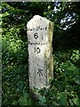 Old Milestone by the A354, south west of Winterborne Whitechurch