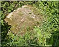 ST6801 : Old Milestone by the UC road, due east of Cerne Abbas by Colin Payne