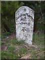 Old Milestone by the A37, Melbury Bubb