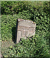 Old Milestone by the A35, north of Shute