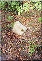 Old Milestone east of Ashford, near Upcott House