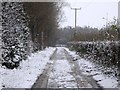 Jacksons Lane in the snow