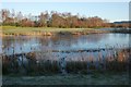 Lochan beside The Claret Jug