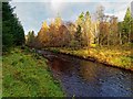 The Muckle Burn