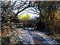 Llwybr ger Penygroes / Footpath near Penygroes