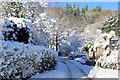 Mill Lane from Oak Lane