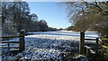 Field path E of Deanhill Farm near Hassall Green