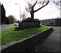 Tree stump and horizontal tree trunk in Northville, Cwmbran