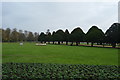 TQ1568 : Hampton Court Palace Gardens by N Chadwick