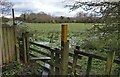 Public footpath on the edge of Countesthorpe