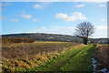 Towards Coombe Hill