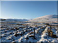 Stile and bridge on the Southern Upland Way, Potrail Water